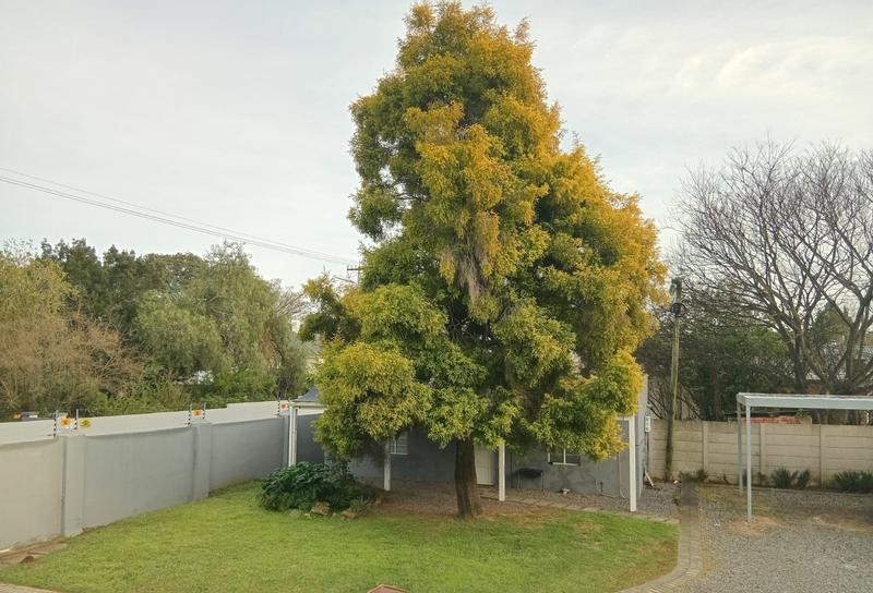 To Let 1 Bedroom Property for Rent in Grahamstown Eastern Cape